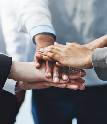 Ladonna Logo - Découvrez nos enseignes haut de gamme