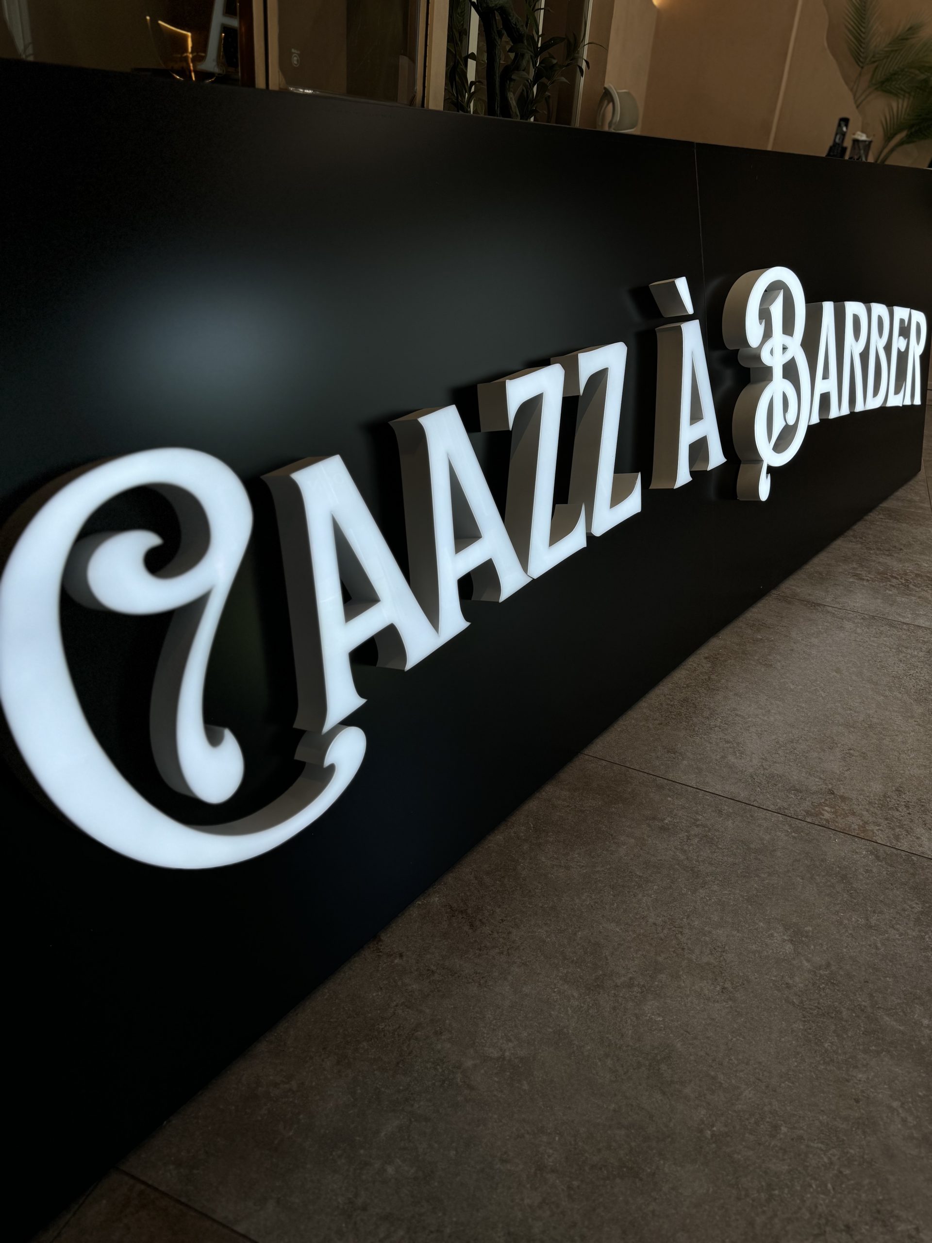 2 ENSEIGNE FACE LUMINEUSE LADONNA LOGO