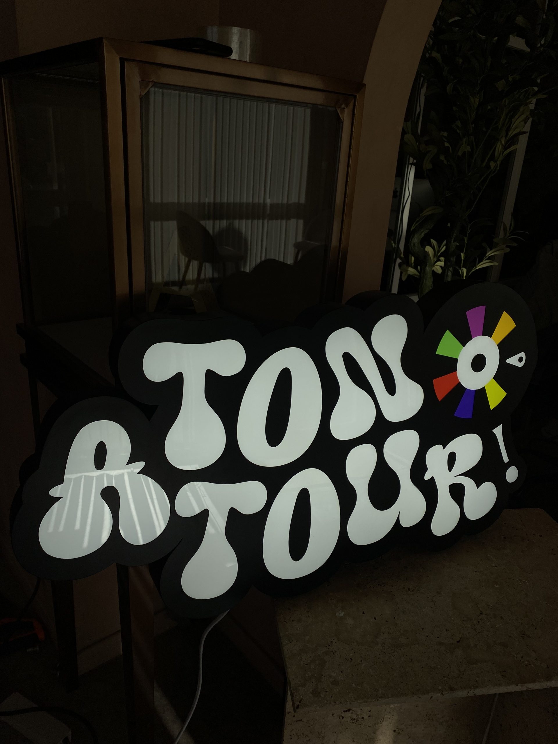 5 ENSEIGNE FACE LUMINEUSE LADONNA LOGO