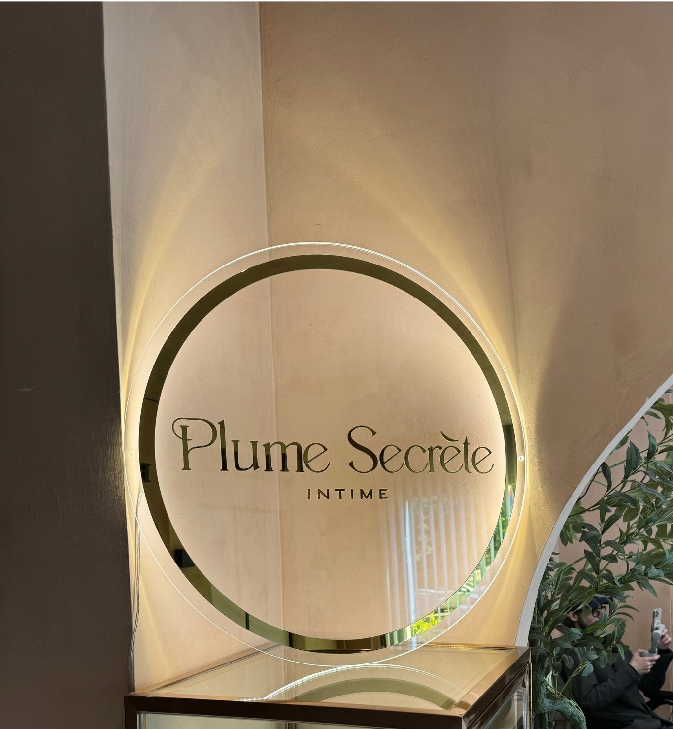 6 PLAQUES DÉCORATIVES PLAQUE DÉPOLI OR POLI