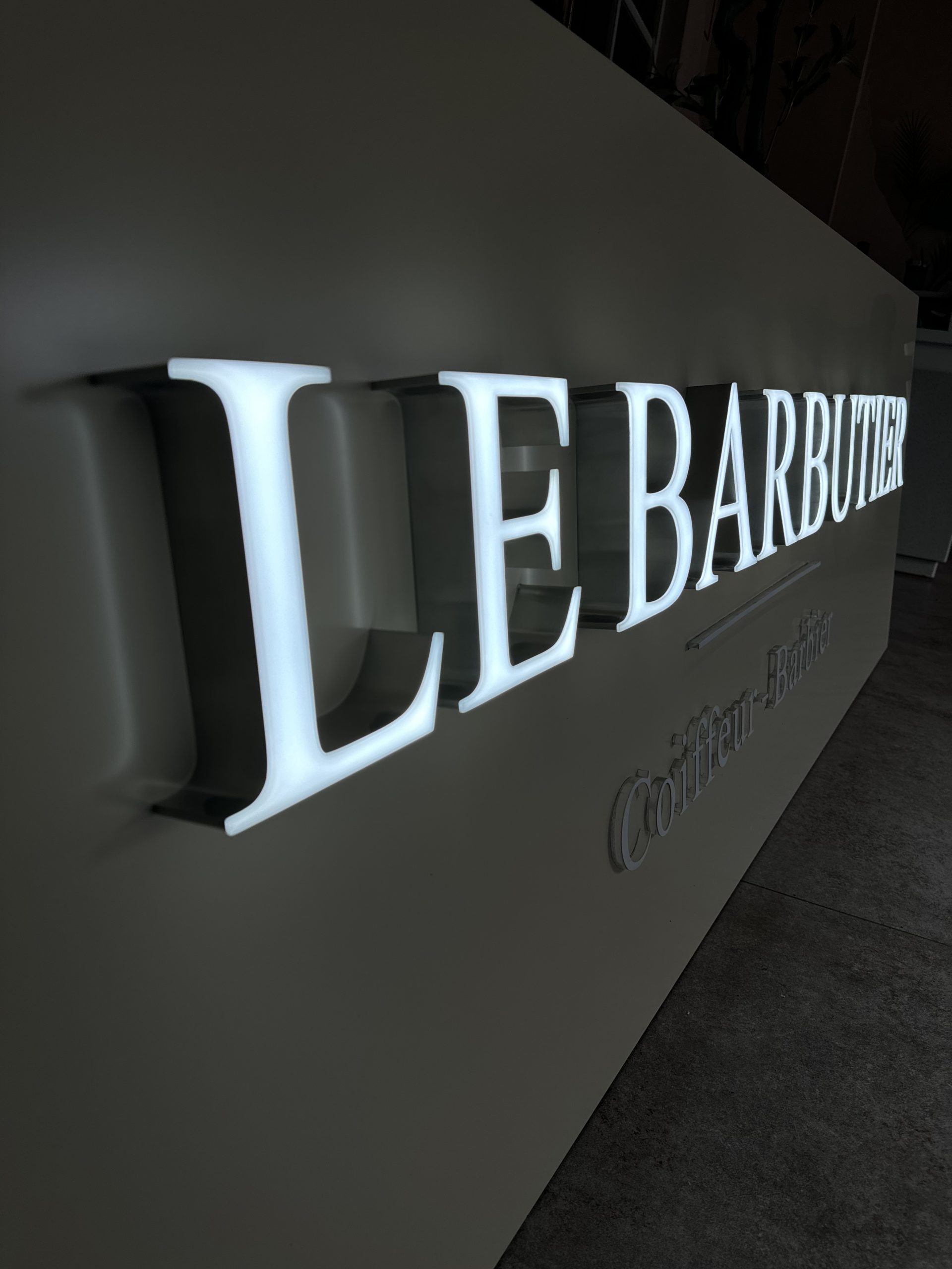 ENSEIGNE FACE LUMINEUSE LADONNA LOGO