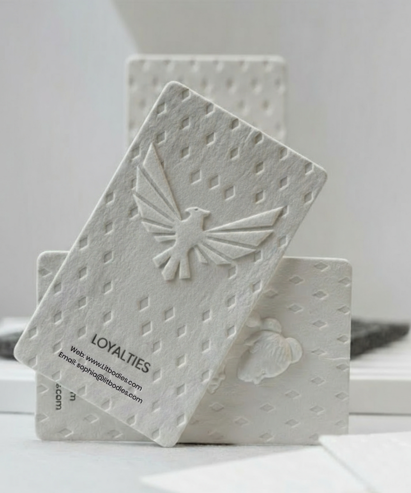 ladoona logo CARTE DE VISITE